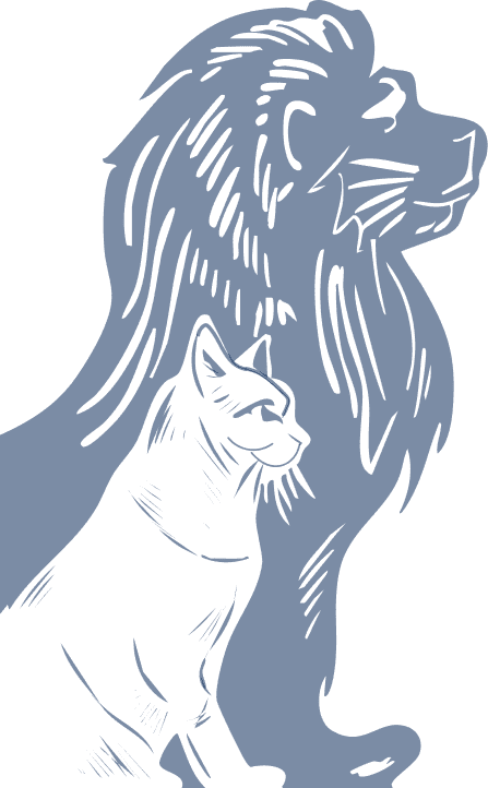 Invicta Mascot